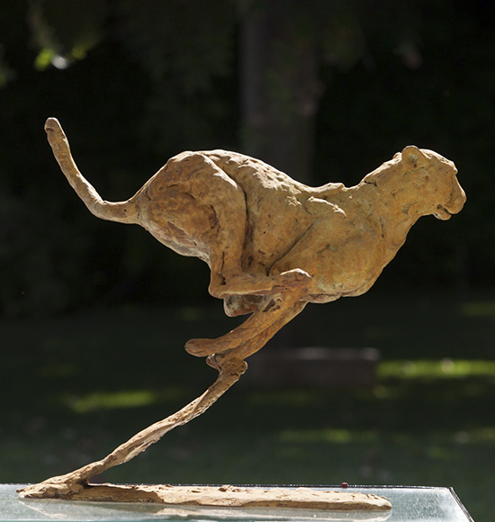 Pátina