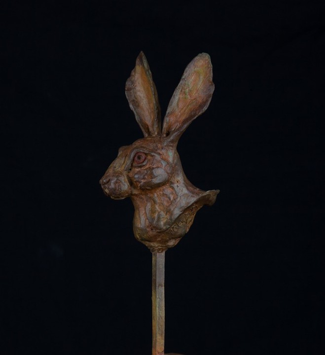 Cabeza de Liebre