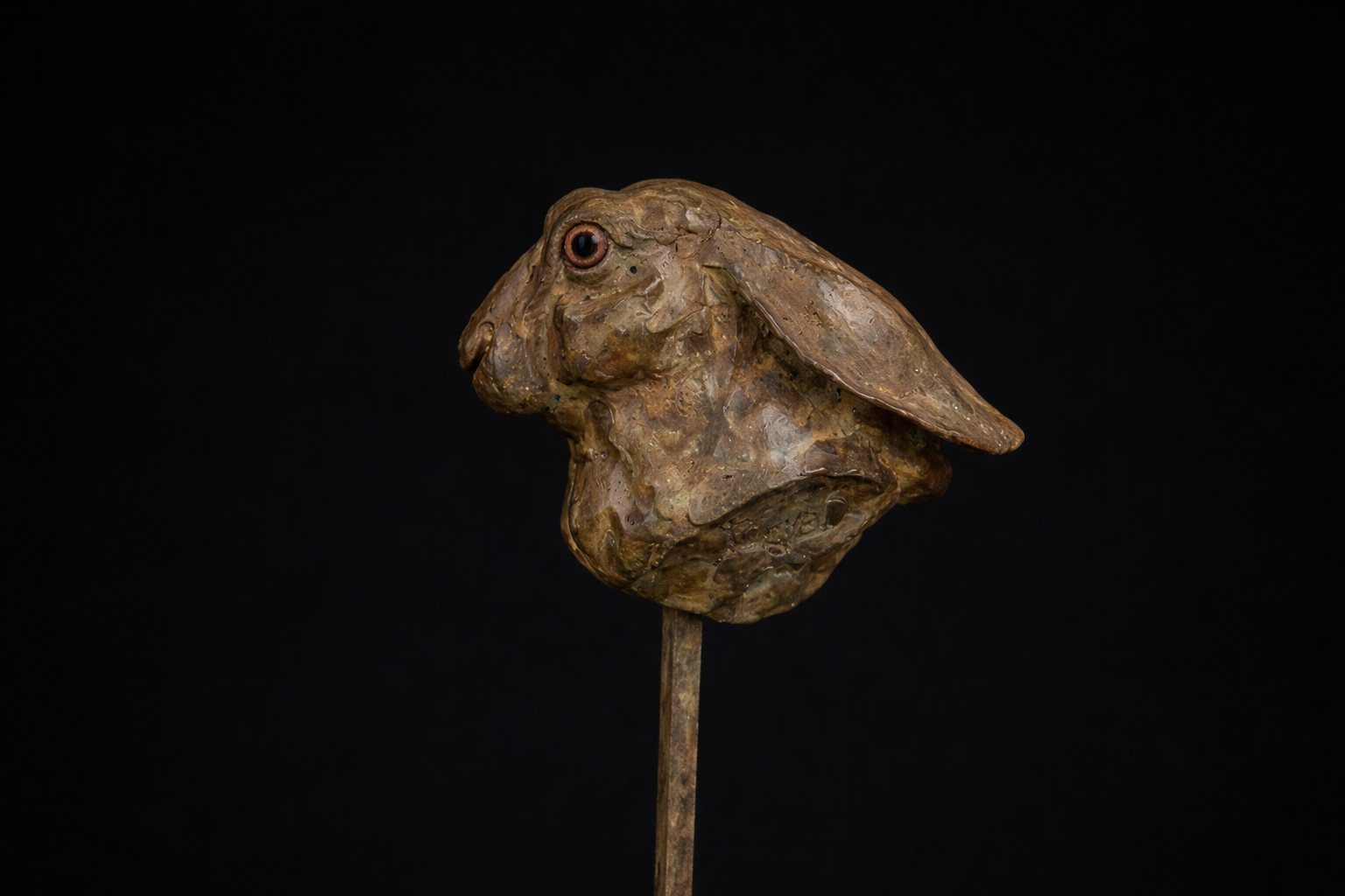 Cabeza de Liebre II